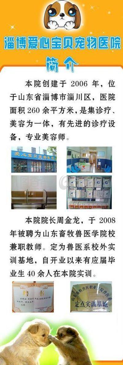 寵物醫院展架圖片