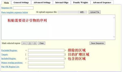 設(shè)計引物怕踩坑？這3款在線軟件輕松掃雷——淄博軟件設(shè)計指南